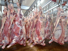 Говядина в полутушах 1 категории ООО Арктика